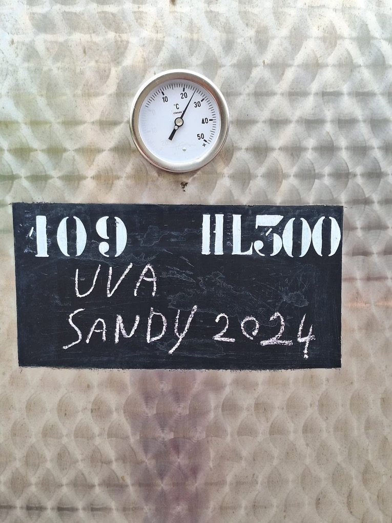 Fermentation tank labeled Uva Sandy 2024