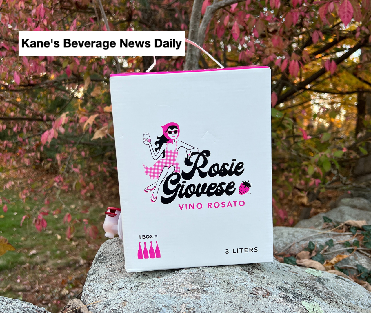 6.21.22 | KANE'S BEVERAGE NEWS DAILY. "A delightfully crisp, dry Italian rose style boxed wine made with Sangiovese and other Italian grapes, ideal for seasonal sipping and entertaining."