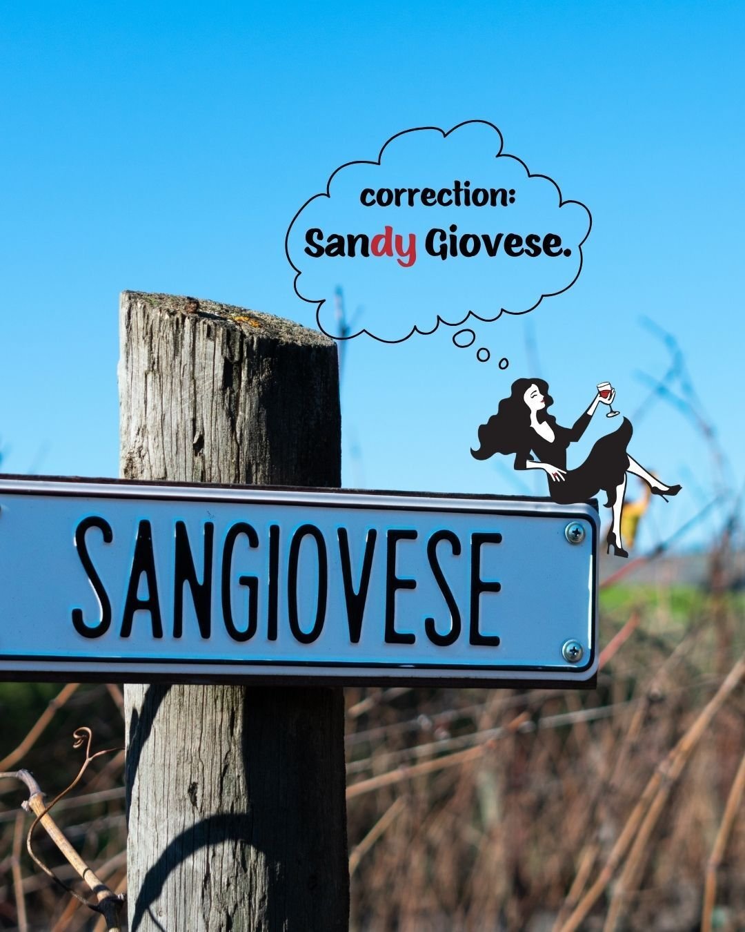 Drop a 🍒 if you knew Sandy's name comes from Sangiovese.